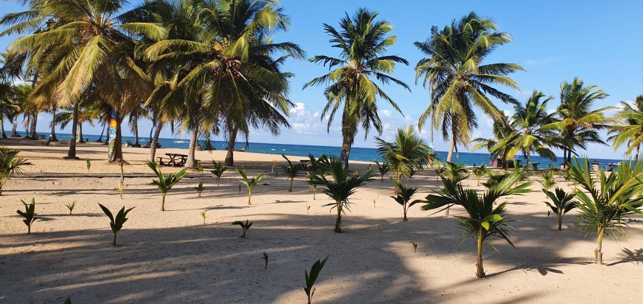 Puntacana Ecolodge Lavacama Beach Costa Arrecife By Aa Crypto Group Пунта-Кана Экстерьер фото