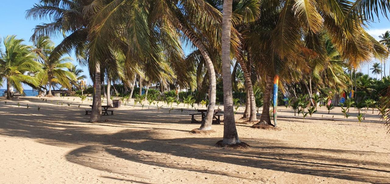 Puntacana Ecolodge Lavacama Beach Costa Arrecife By Aa Crypto Group Пунта-Кана Экстерьер фото