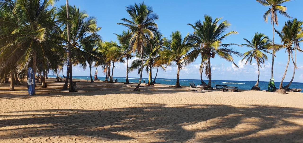 Puntacana Ecolodge Lavacama Beach Costa Arrecife By Aa Crypto Group Пунта-Кана Экстерьер фото