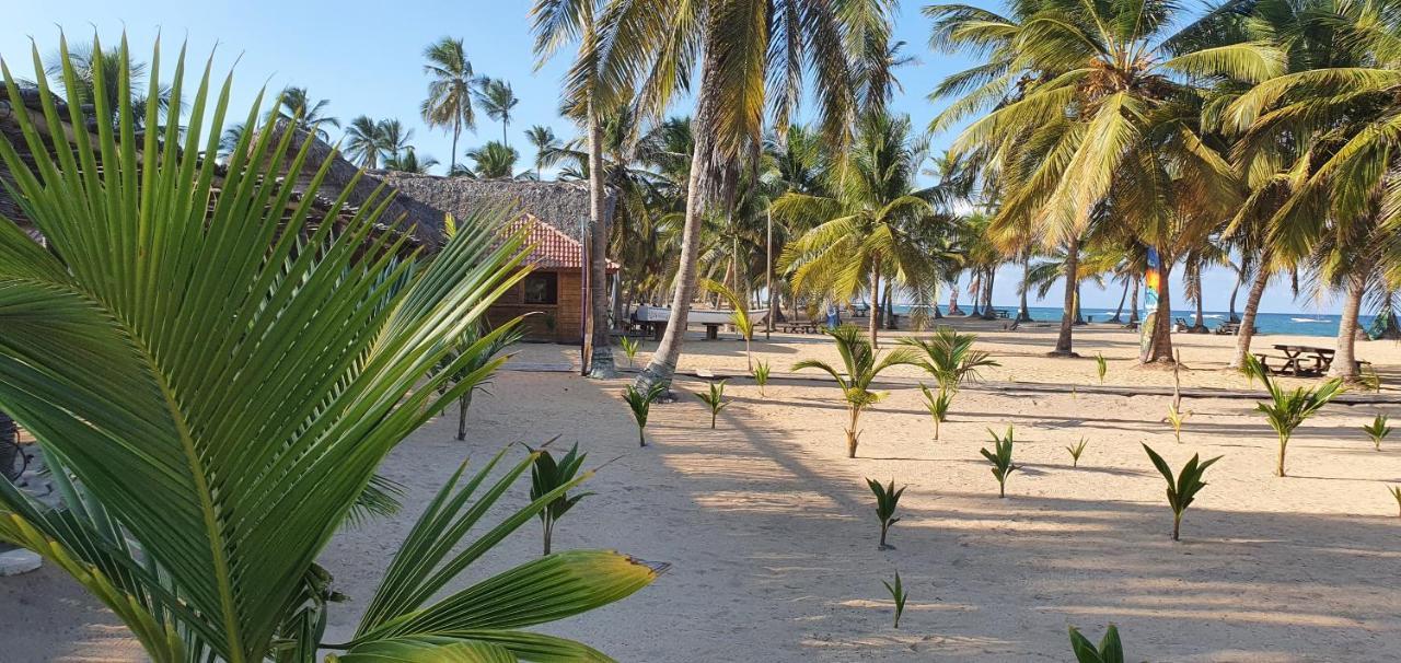 Puntacana Ecolodge Lavacama Beach Costa Arrecife By Aa Crypto Group Пунта-Кана Экстерьер фото