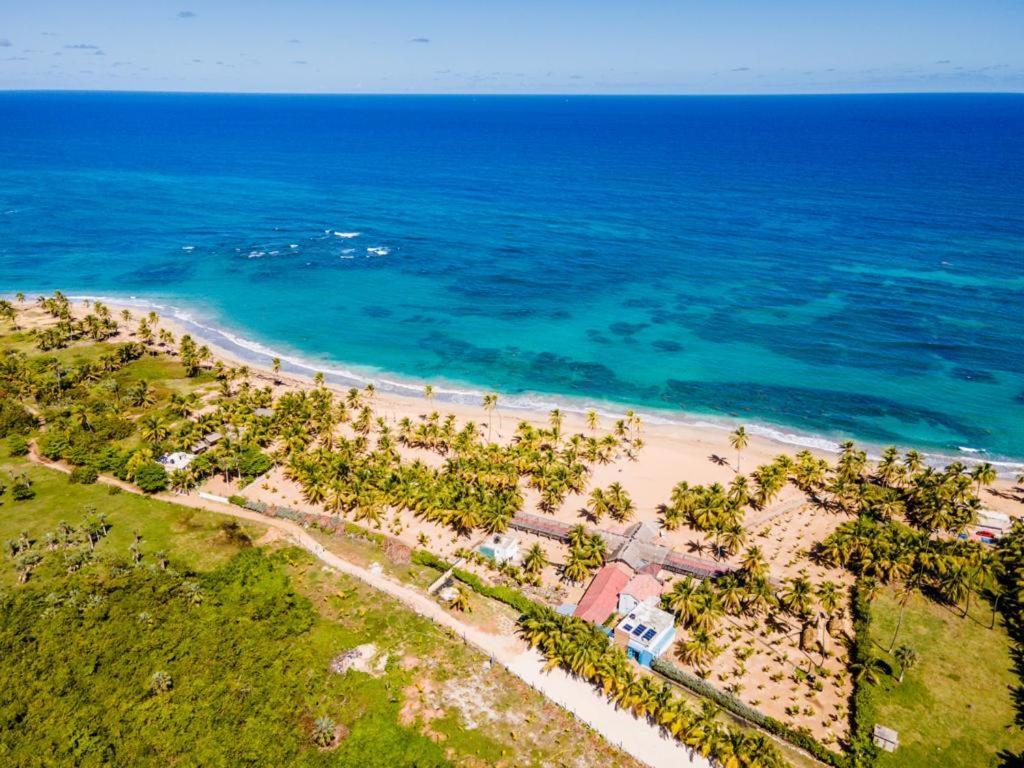 Puntacana Ecolodge Lavacama Beach Costa Arrecife By Aa Crypto Group Пунта-Кана Экстерьер фото